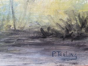 Peter Teeling - Molen De Bakker – Westknollendam kopen? Bied vanaf 175!