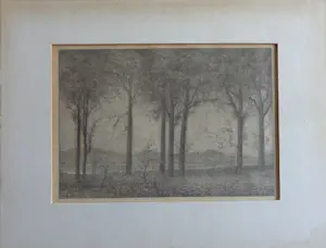 Simon Moulijn - BOMEN NAAST DE RIVIER / ZW-W LITHO / 22x29cm / 1906 / PASSE-PARTOUT kopen? Bied vanaf 25!