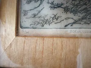 Antonius Cornelis Ninaber van Eyben - Zilvermeeuwennest kopen? Bied vanaf 59!