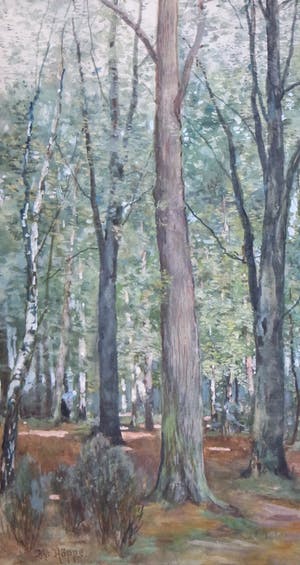 Bernard Ferdinand Hoppe - aquarel op papier - bosgezicht met een houtsprokkelaarster kopen? Bied vanaf 165!