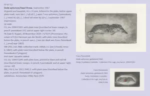Buy Frans Pannekoek - Dode spitsmuis, aquatint ets? Bid from 175!
