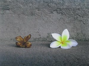 Mark Verdoes - Giclée, Buddha Love- Ingelijst kopen? Bied vanaf 1!