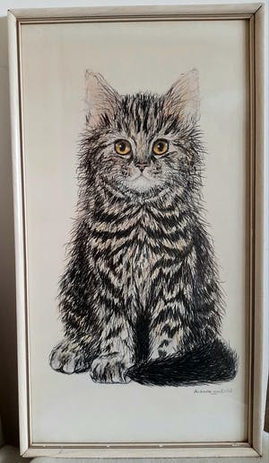 Niet of onleesbaar gesigneerd - Een kat kopen? Bied vanaf 1!
