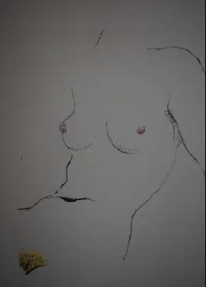 Kees van Dongen - litho - Naaktportret kopen? Bied vanaf 250!