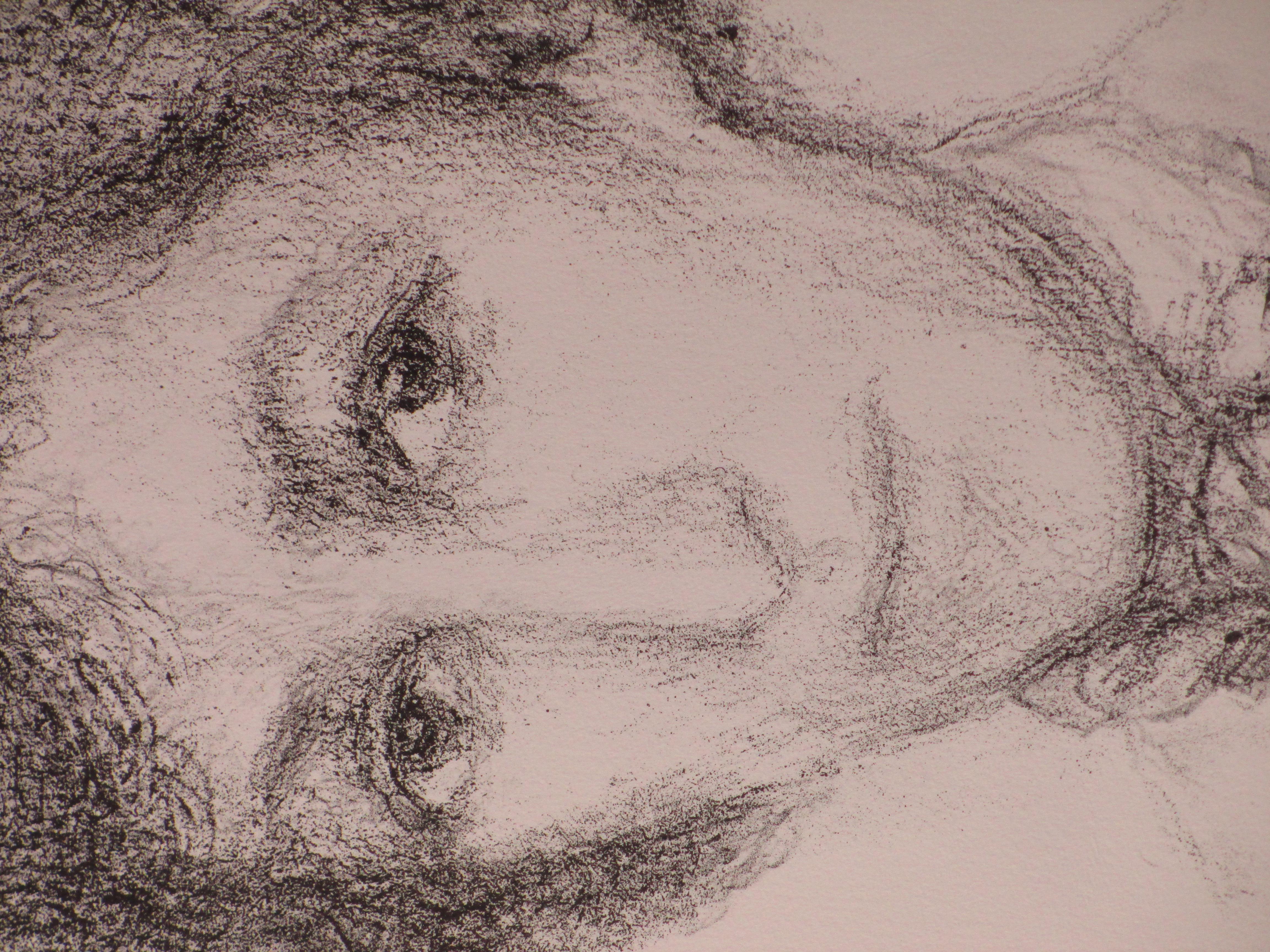 Paul Citroen - Portret van een Joodse vrouw - Litho kopen? Bied vanaf 50!