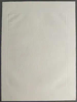 Harry van Kruiningen - Edgar Allan Poe Het masker en de rode dood - Gesigneerde ets kopen? Bied vanaf 89!