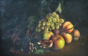 Niet of onleesbaar gesigneerd - C3660 - Stilleven met fruit en vogel kopen? Bied vanaf 10!