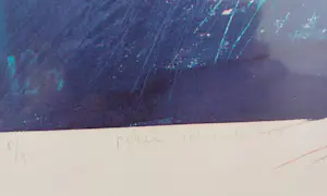 Peter Schenk - (1944-2011) Dynamisch en ruimtelijk kopen? Bied vanaf 95!