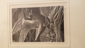 Renaat Bosschaert - 5 houtgravuren kopen? Bied vanaf 100!