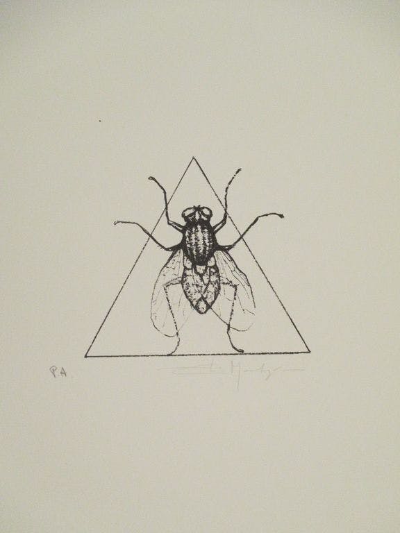 Elio Marchegiani - Elio Marchegiani - Lithografie - La mosca kopen? Bied vanaf 55!