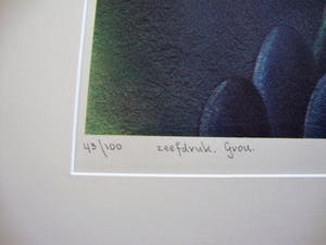 Bauke Weistra - Zeefdruk Grou kopen? Bied vanaf 95!