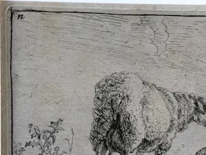 Karel Dujardin - Drie zwijnen (en nog twee etsen Berchem) kopen? Bied vanaf 30!