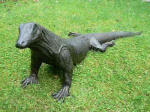 Peter Petersen - Komodo Varaan (uniek!) kopen? Bied vanaf 2895!