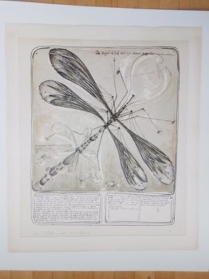 Rene Glaser - Zinklitho - de Koppel libel met zijn staart-propeller kopen? Bied vanaf 15!