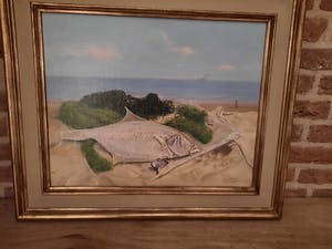 Antoon Luyckx - Aangespoelde vis Nieuwpoort kopen? Bied vanaf 15!