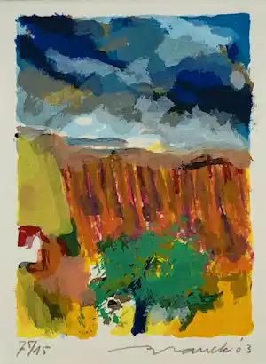 Willem Brauck - Provence IV verkauft für € 75!