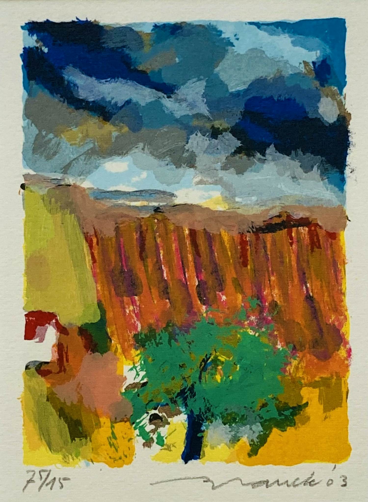 Willem Brauck - Provence IV kopen? Bied vanaf 65!