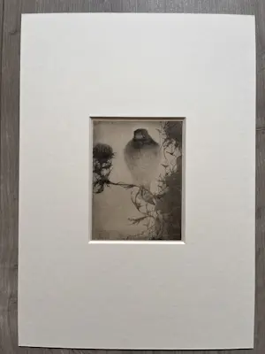 Jan Mankes - Originele Heliogravure Puttertje op Tak 1923 kopen? Bied vanaf 135!