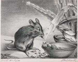 Jan Schonk - Litho, Muis - Ingelijst kopen? Bied vanaf 50!
