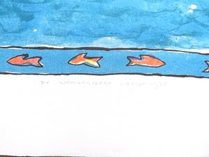 Liset van Laer - Titels: Wonderbare Visvanger - Droomprins kopen? Bied vanaf 1!