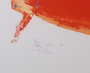 Arty Grimm - Zeefdruk, Abstracte compositie - Ingelijst (Groot) kopen? Bied vanaf 35!