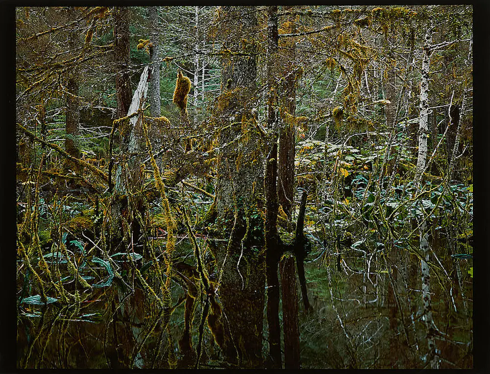 Robert Glenn Ketchum (1947)