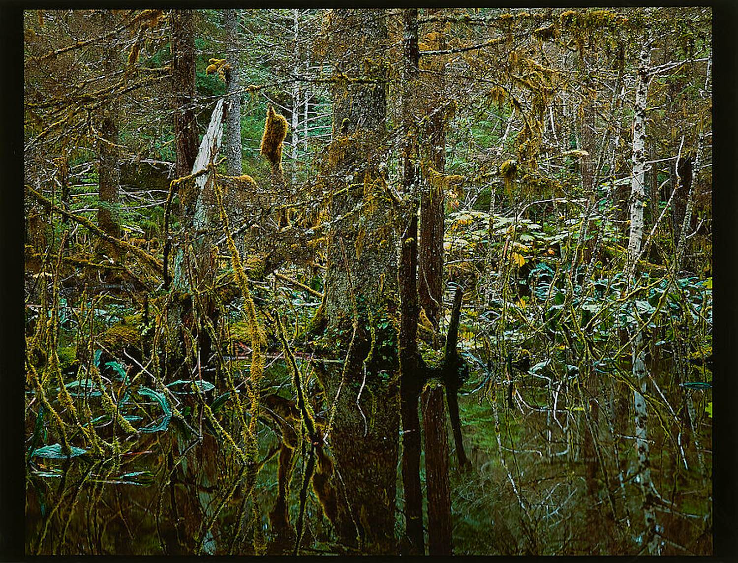 Robert Glenn Ketchum - "Kadashaw II " - 1986 - handsigniert - Auflage von 100 kopen? Bied vanaf 399!