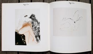 Hugo Claus - Speciale uitgave met gesigneerde en genummerde zeefdruk kopen? Bied vanaf 1!