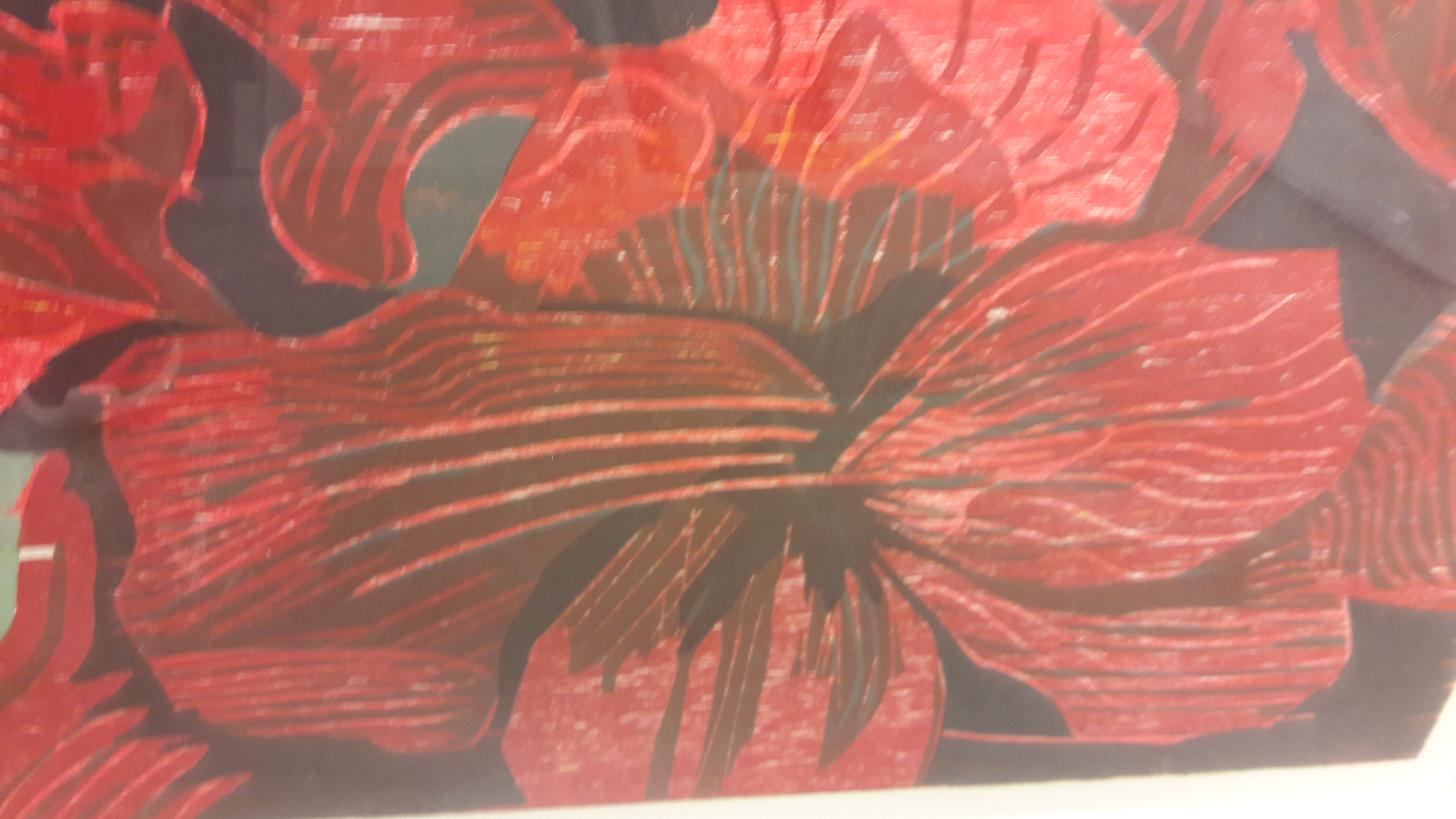 Vincent van Ojen - Amaryllis kopen? Bied vanaf 110!