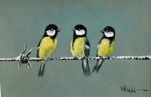 Henk Poeder - Koolmezen op prikkeldraad kopen? Bied vanaf 79!