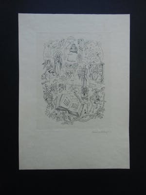 Debora Duyvis - HET LEVEN IS EEN WONDERBOEK kopen? Bied vanaf 25!