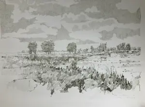 Ton Albers - Landschap bij Ouderkerk kopen? Bied vanaf 40!