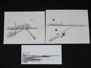 Ari Stolk - 4 landschappen met vogels kopen? Bied vanaf 1!