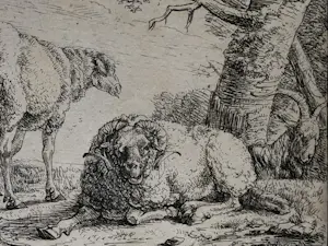 Karel Dujardin - Drie zwijnen (en nog twee etsen Berchem) kopen? Bied vanaf 30!