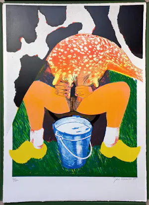 Jan Cremer - Hollandse boerinnen, complete uitgave met 6 litho’s kopen? Bied vanaf 1350!
