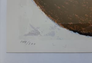 Thomas Ankum - Halve bollen kopen? Bied vanaf 50!