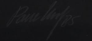 Paul Huf - Foto, Huis met beeld - Ingelijst kopen? Bied vanaf 1!