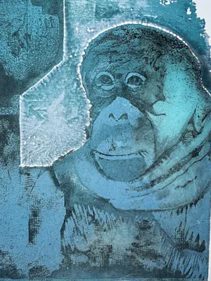 Robert Wolfgang Schnell - Gesigneerde ets/aquatint – R. Schnell “aap” 1974 kaufen? Bieten Sie von 35!