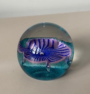 Niet of onleesbaar gesigneerd - Caithness Schotland - Glazen presse papier Petunias kopen? Bied vanaf 1!