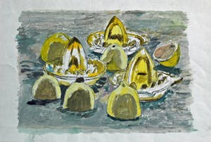 Hans Ebeling Koning - citroenpers kopen? Bied vanaf 50!