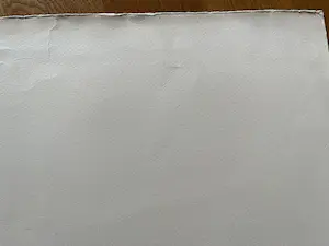 Jan Homan - FRIESLAND kopen? Bied vanaf 35!