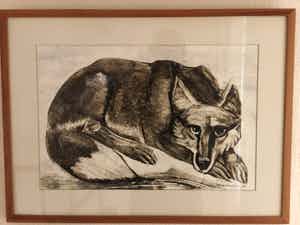 Alfons Van Meirvenne - "Vos" verkocht voor € 150!