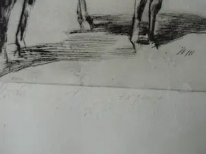 Wim Vaarzon Morel (jr.) - Grafieken - Paarden kopen? Bied vanaf 125!