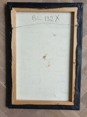 Niet of onleesbaar gesigneerd - Initialen BL 132 - Aboriginal Kunst - Jurkurrpa - 58 x 40 cm kopen? Bied vanaf 1!