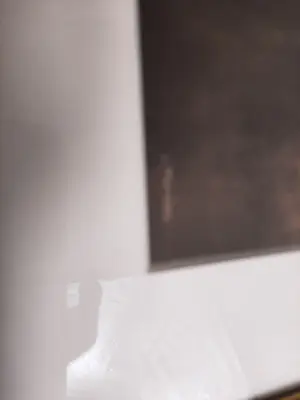 Jan Mankes - Originele Heliogravure Lijsters in Avondstemming 1923 kopen? Bied vanaf 120!