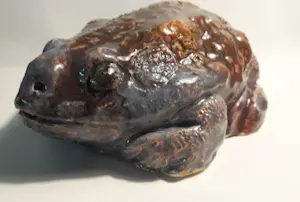 Nel Donkers - Dit is een pad. kopen? Bied vanaf 60!