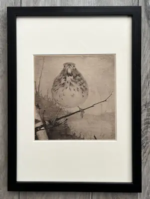 Jan Mankes - Originele Heliogravure Lijster op Tak 1923 kopen? Bied vanaf 185!