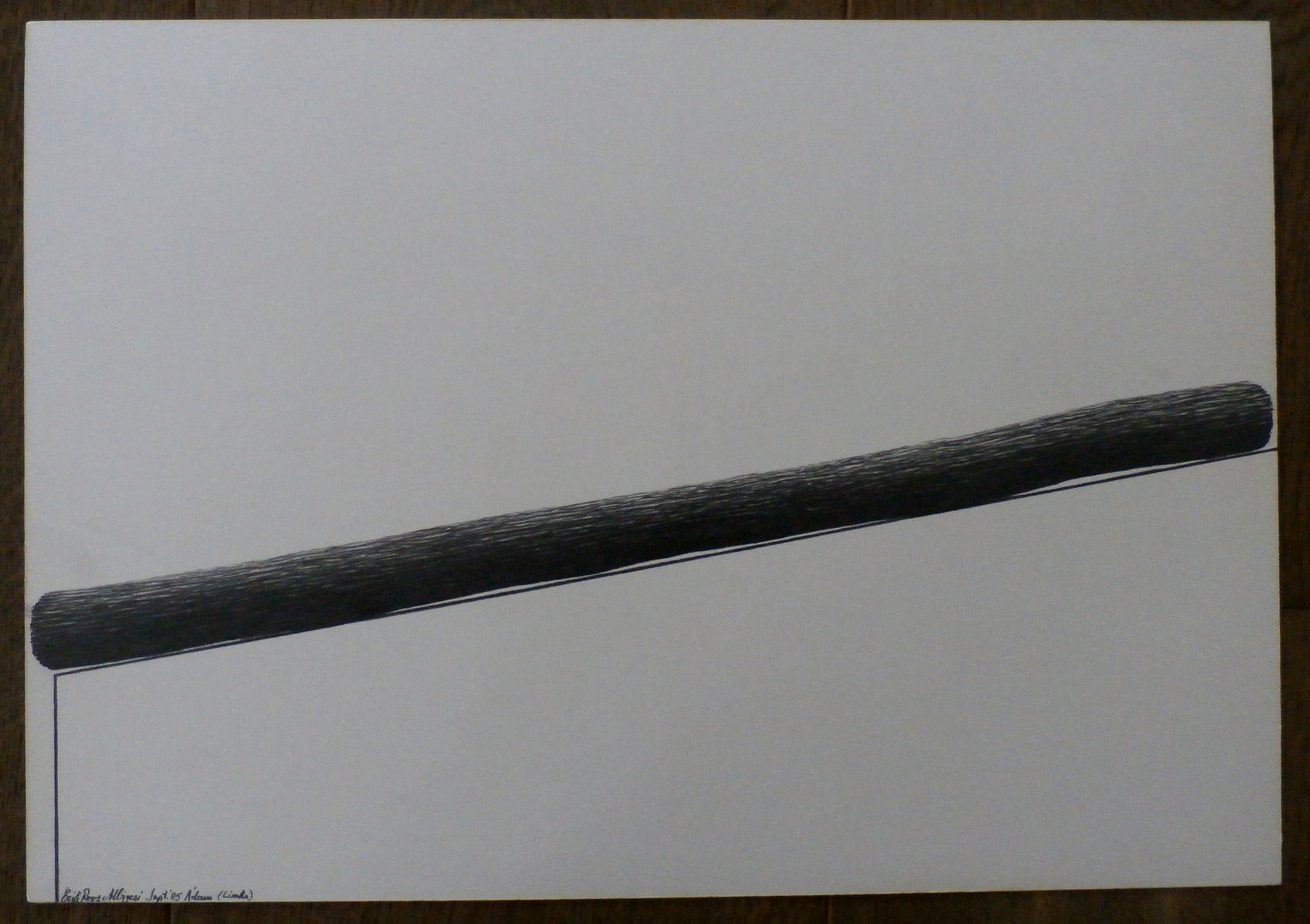 Erik Roos - potloodtekening - Albigesi (links) - 1985 kopen? Bied vanaf 49!