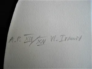 Niet of onleesbaar gesigneerd - Kleine oplage (15) ETS "state of energy - Levitation" gesigneerd "Ivanov" kopen? Bied vanaf 1!