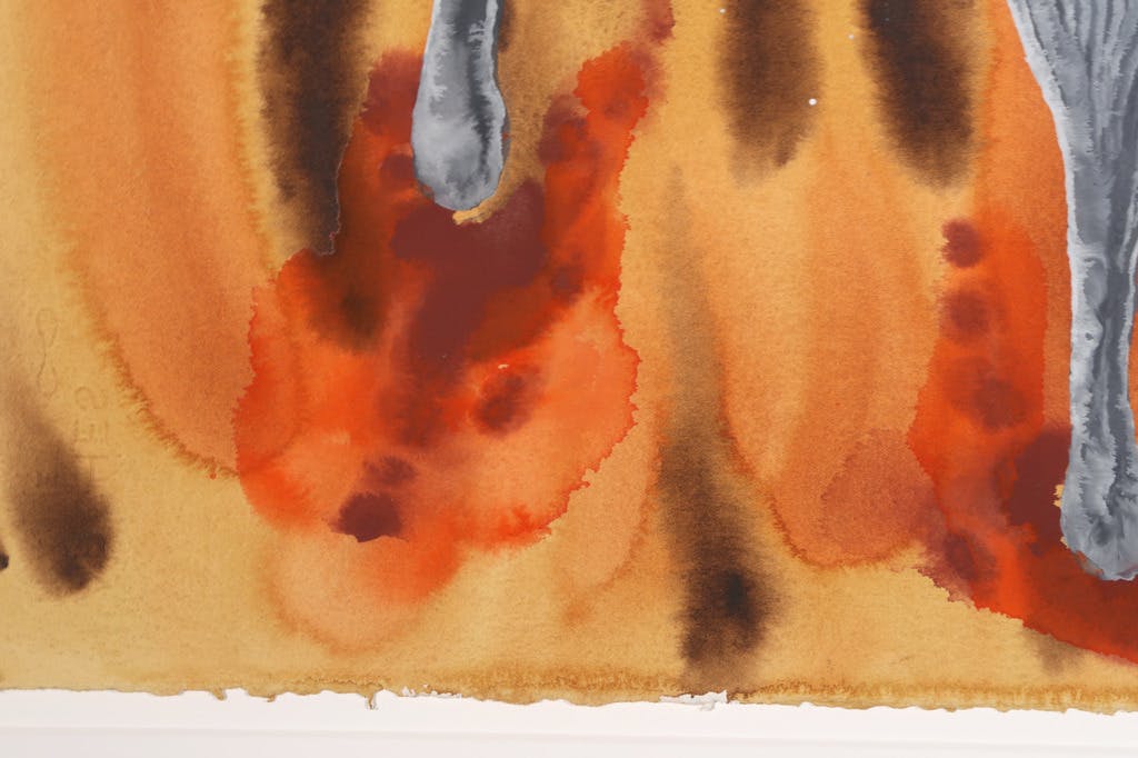 Mareike Geys - Mareike Geys: Aquarel, Brandplekcantharellen (Groot) kopen? Bied vanaf 35!